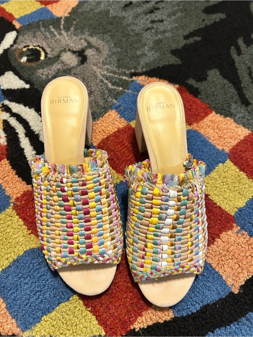 Alexandre Birman Pastel Multicolor Woven Mules